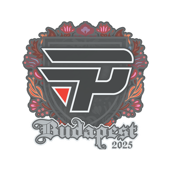Sticker | paiN Gaming | Budapest 2025 CS2 skin
