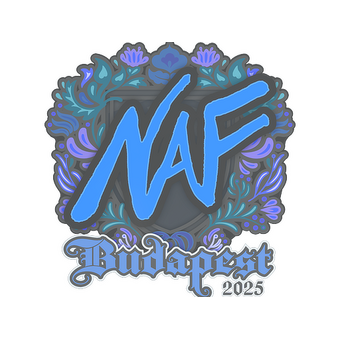 Sticker | NAF | Budapest 2025 CS2 skin