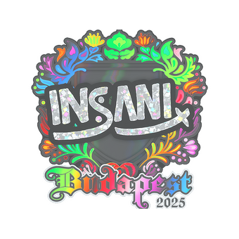 Sticker | insani (Holo) | Budapest 2025 CS2 skin