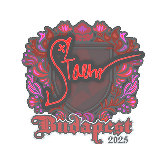 Sticker | Staehr | Budapest 2025 CS2 skin