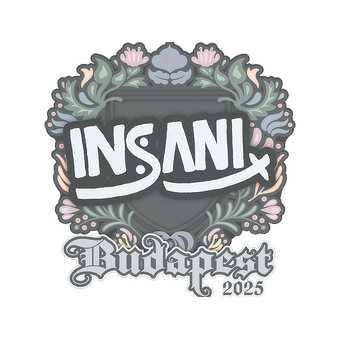 Sticker | insani | Budapest 2025 CS2 skin