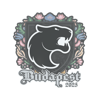 Sticker | FURIA | Budapest 2025 CS2 skin