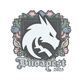 Sticker | Team Spirit | Budapest 2025 CS2 skin