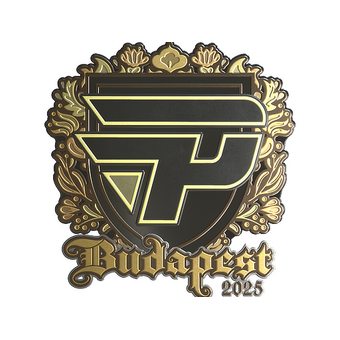 Sticker | paiN Gaming (Gold) | Budapest 2025 CS2 skin