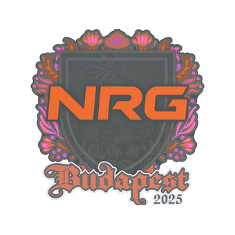 Sticker | NRG | Budapest 2025 CS2 skin