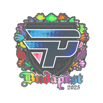 Sticker | paiN Gaming (Holo) | Budapest 2025 CS2 skin