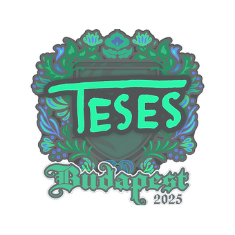 Sticker | TeSeS | Budapest 2025 CS2 skin