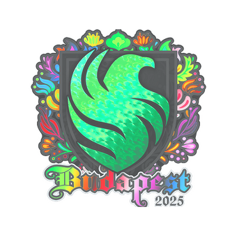 Sticker | Falcons (Holo) | Budapest 2025 CS2 skin