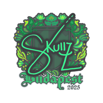 Sticker | skullz | Budapest 2025 CS2 skin