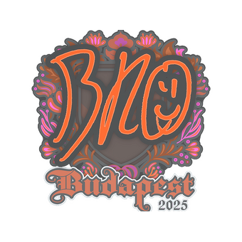 Sticker | br0 | Budapest 2025 CS2 skin