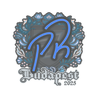 Sticker | PR | Budapest 2025 CS2 skin