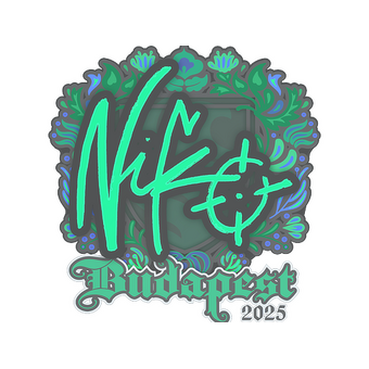 Sticker | NiKo | Budapest 2025 CS2 skin