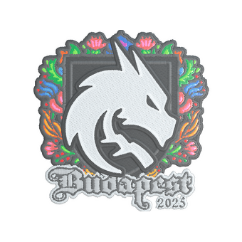 Sticker | Team Spirit (Embroidered) | Budapest 2025 CS2 skin