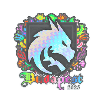 Sticker | Team Spirit (Holo) | Budapest 2025 CS2 skin