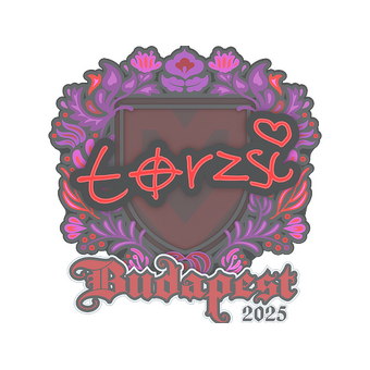 Sticker | torzsi | Budapest 2025 CS2 skin