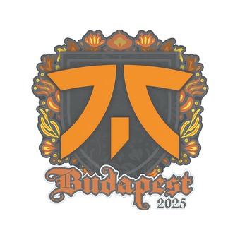 Sticker | fnatic | Budapest 2025 CS2 skin
