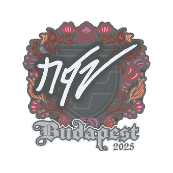Sticker | NQZ | Budapest 2025 CS2 skin