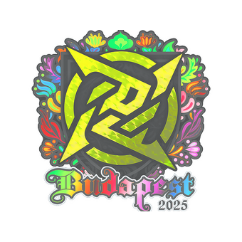Sticker | Ninjas in Pyjamas (Holo) | Budapest 2025 CS2 skin
