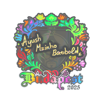 Sticker | mzinho (Holo) | Budapest 2025 CS2 skin