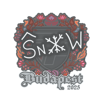 Sticker | snow | Budapest 2025 CS2 skin