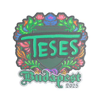 Sticker | TeSeS (Embroidered) | Budapest 2025 CS2 skin