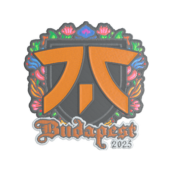 Sticker | fnatic (Embroidered) | Budapest 2025 CS2 skin