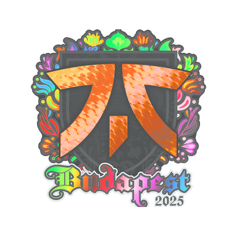 Sticker | fnatic (Holo) | Budapest 2025 CS2 skin