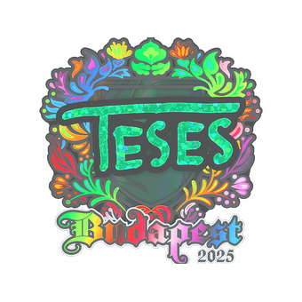 Sticker | TeSeS (Holo) | Budapest 2025 CS2 skin
