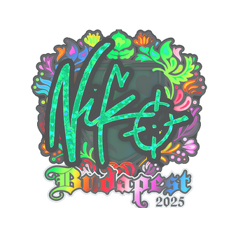 Sticker | NiKo (Holo) | Budapest 2025 CS2 skin