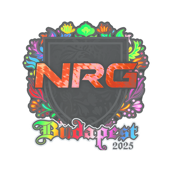 Sticker | NRG (Holo) | Budapest 2025 CS2 skin
