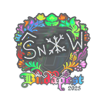 Sticker | snow (Holo) | Budapest 2025 CS2 skin