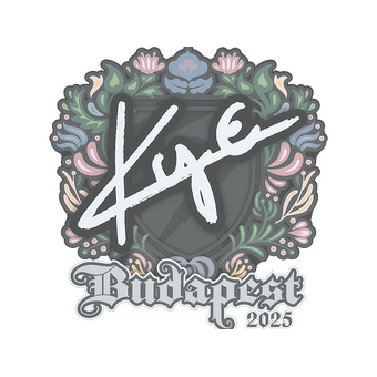 Sticker | kye | Budapest 2025 CS2 skin