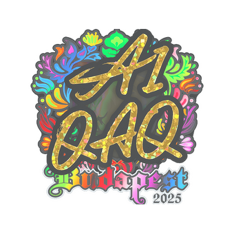Sticker | EmiliaQAQ (Holo) | Budapest 2025 CS2 skin