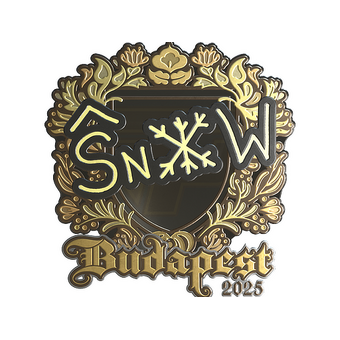 Sticker | snow (Gold) | Budapest 2025 CS2 skin