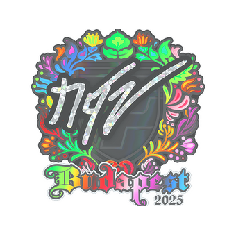 Sticker | NQZ (Holo) | Budapest 2025 CS2 skin