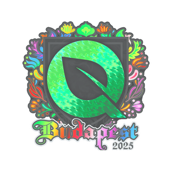 Sticker | FlyQuest (Holo) | Budapest 2025 CS2 skin