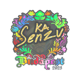 Sticker | Senzu (Holo) | Budapest 2025 CS2 skin