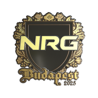 Sticker | NRG (Gold) | Budapest 2025 CS2 skin