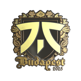 Sticker | fnatic (Gold) | Budapest 2025 CS2 skin