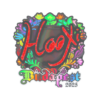 Sticker | HooXi (Holo) | Budapest 2025 CS2 skin