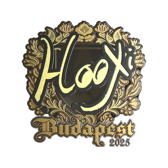 Sticker | HooXi (Gold) | Budapest 2025 CS2 skin