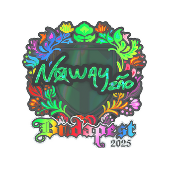 Sticker | noway (Holo) | Budapest 2025 CS2 skin