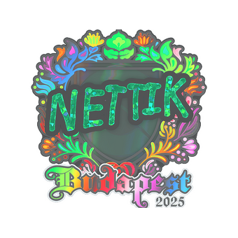 Sticker | nettik (Holo) | Budapest 2025 CS2 skin