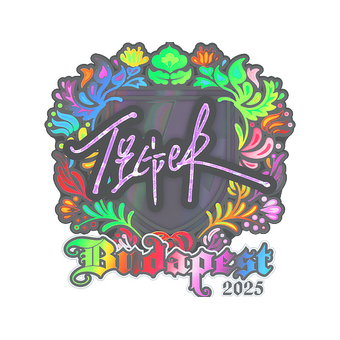 Sticker | Tiger (Holo) | Budapest 2025 CS2 skin