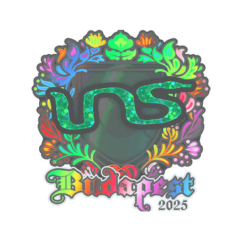 Sticker | INS (Holo) | Budapest 2025 CS2 skin