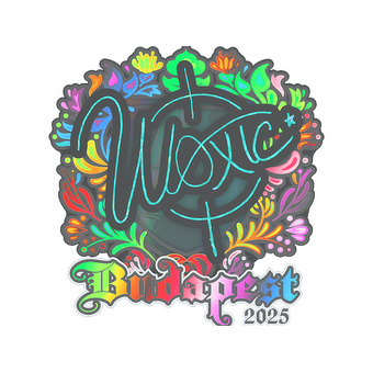 Sticker | woxic (Holo) | Budapest 2025 CS2 skin