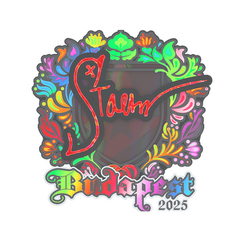 Sticker | Staehr (Holo) | Budapest 2025 CS2 skin