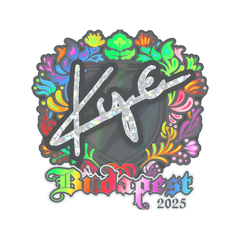 Sticker | kye (Holo) | Budapest 2025 CS2 skin