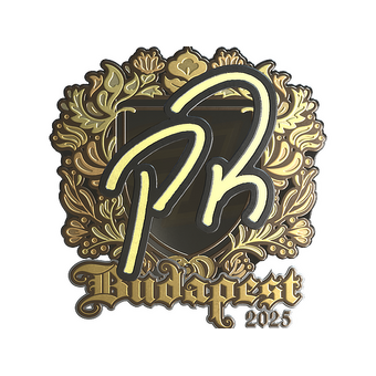 Sticker | PR (Gold) | Budapest 2025 CS2 skin