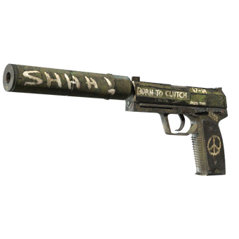 USP-S | Flashback (Field-Tested) CS2 skin